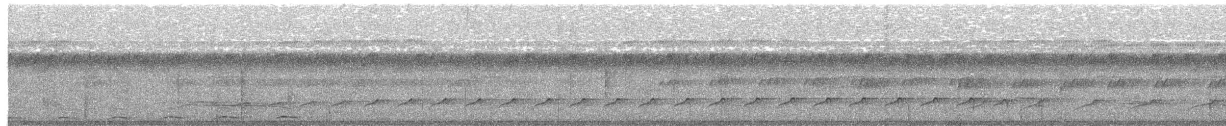 Лінивка-строкатка чорновола - ML617023967