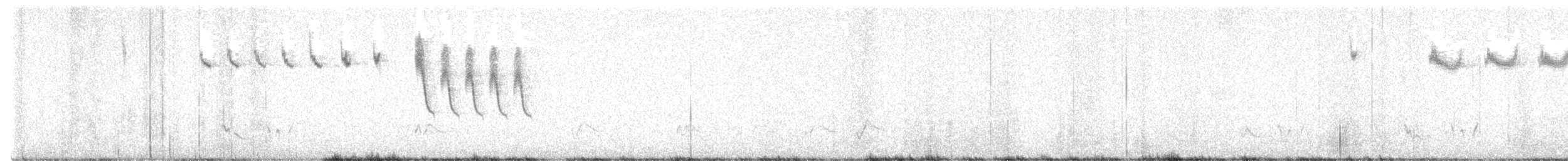 Трав’янчик іржастий (підвид oweni) - ML617024164