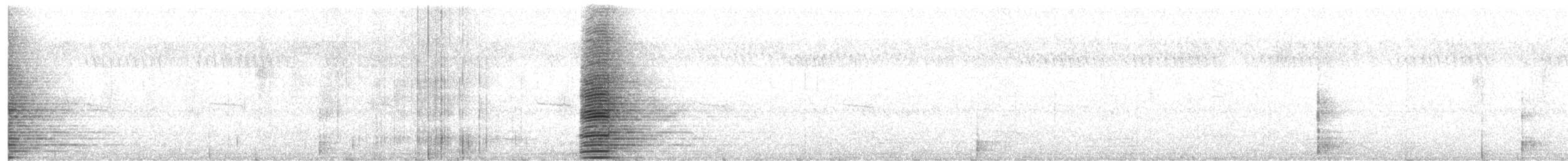páv korunkatý - ML617025219