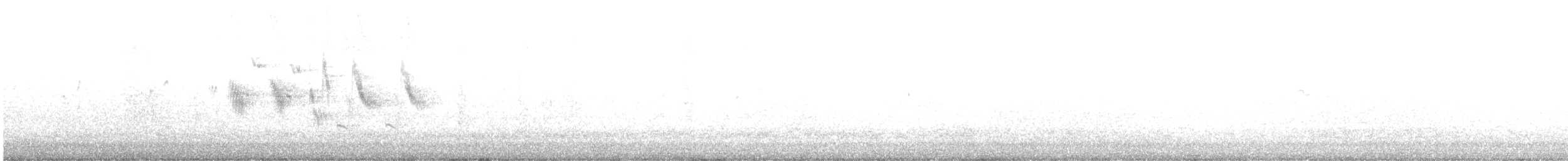 Japanese Wagtail - ML617026258