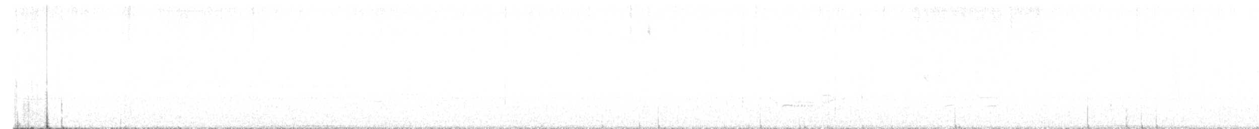 Tasmanerddrossel - ML617026289