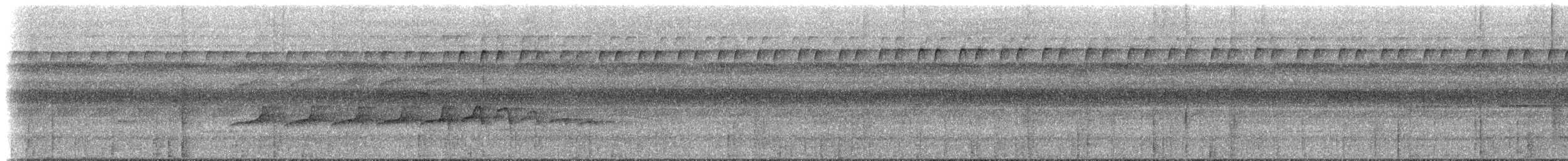 Braunweiß-Ameisenvogel - ML617027068