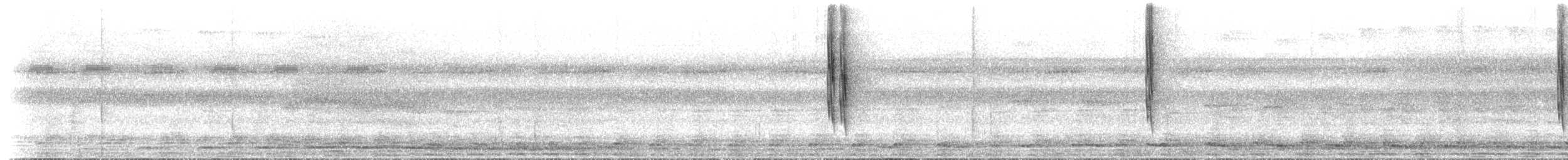 Dreibinden-Ameisenvogel - ML617027137