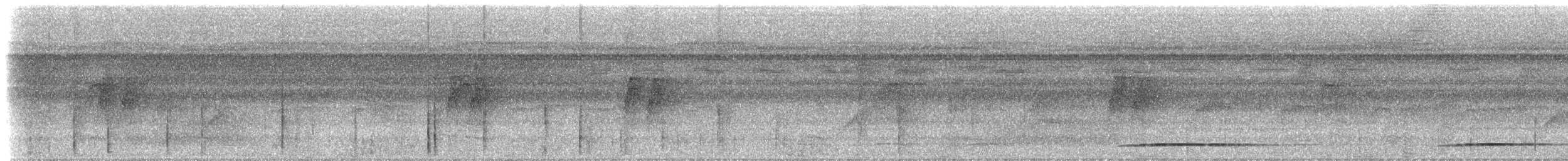 White-throated Tinamou - ML617027169