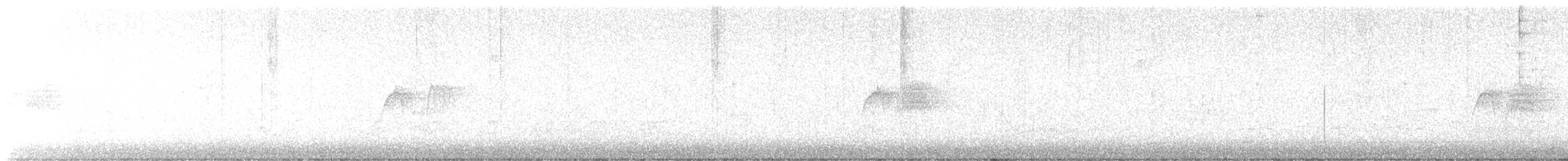 Светлобрюхий фиби - ML617027170