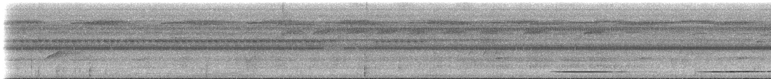 White-throated Tinamou - ML617027175