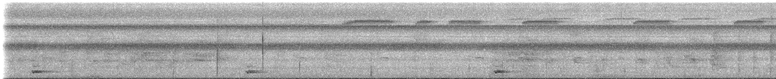 チャバラオオツリスドリ（yuracares／neivae） - ML617027237