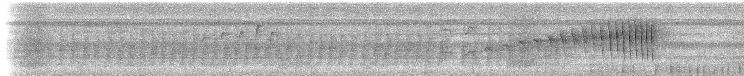 チャバラオオツリスドリ（yuracares／neivae） - ML617027325