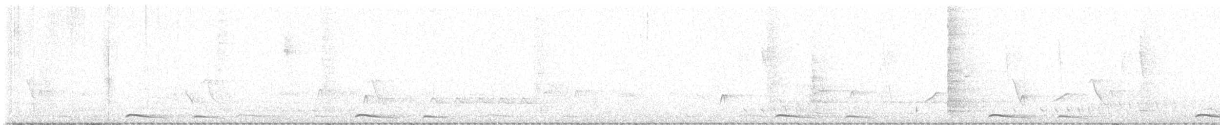 holoubek mexický - ML617030982