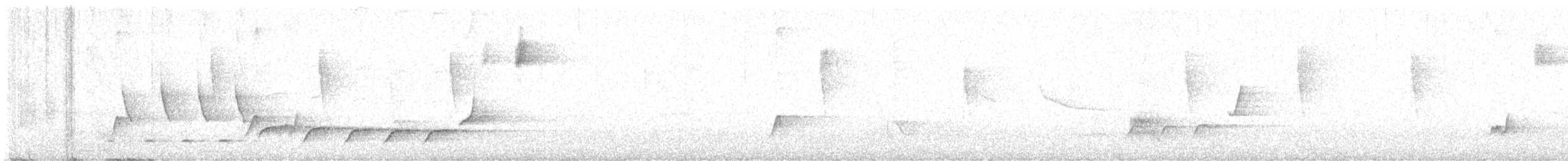 Şerit Karınlı Çıtkuşu - ML617031208