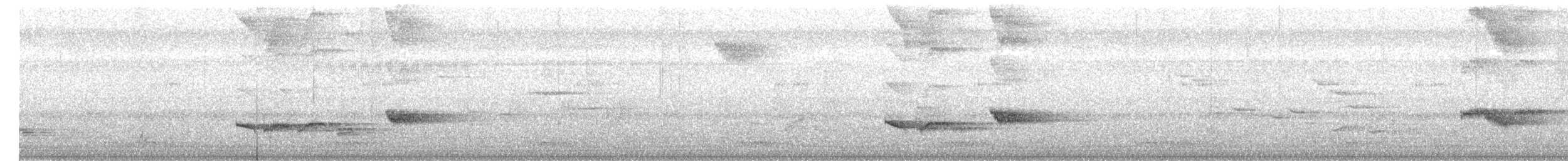 Malabar Gray Hornbill - ML617032696
