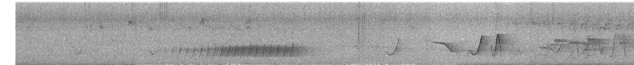 Королаз плямистобокий - ML617033707