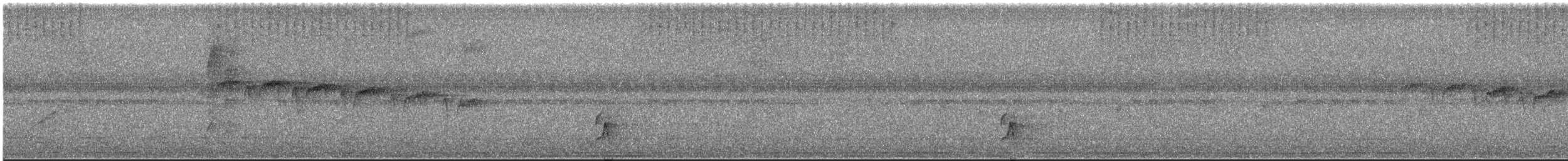 Schwarzkehl-Ameisenvogel - ML617039395
