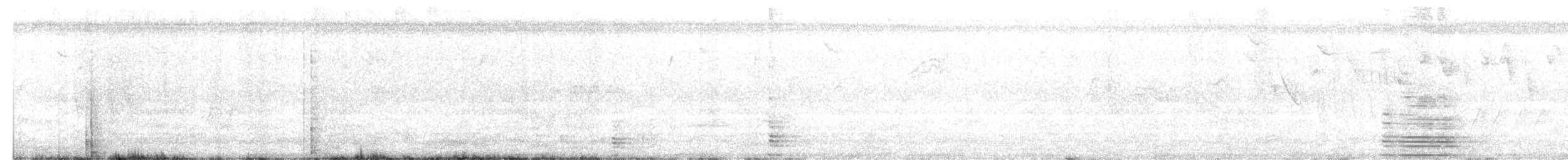 Ibis Rabudo - ML617041964