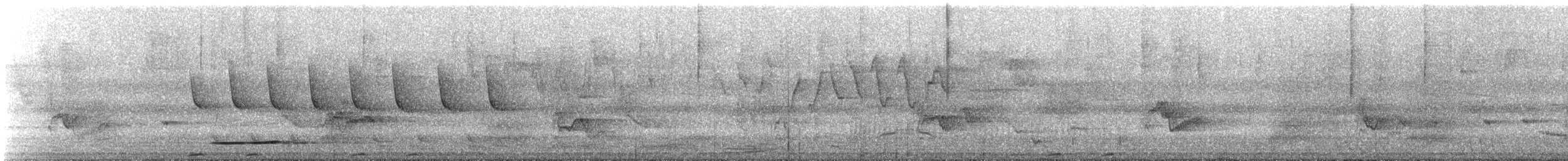 Thicket Tinamou - ML617042014