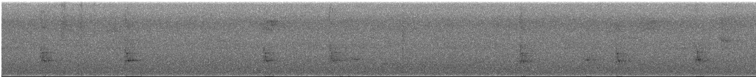 Weißbinden-Ameisenvogel - ML617042881