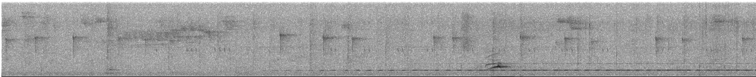 Short-tailed Antthrush - ML617045614