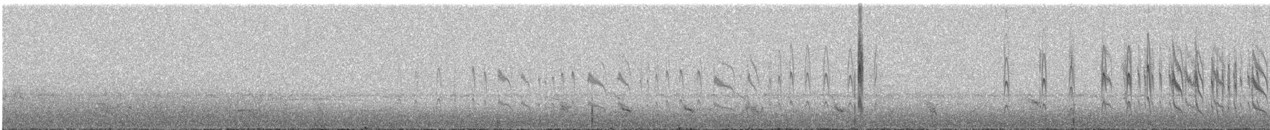 シロボシムジアマツバメ - ML617056384