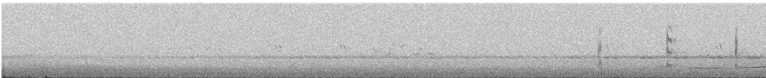 クリエリムジアマツバメ - ML617056731