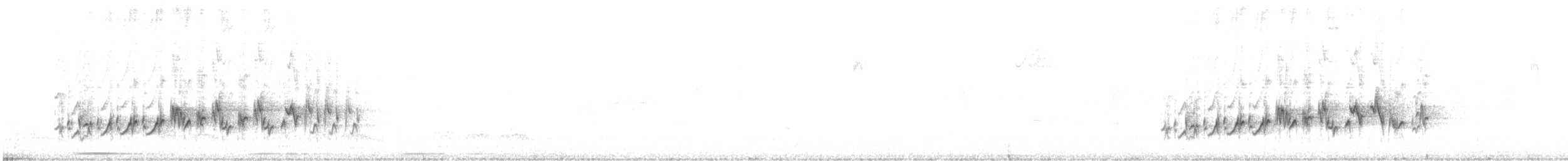 purpurfink (californicus) - ML617058515