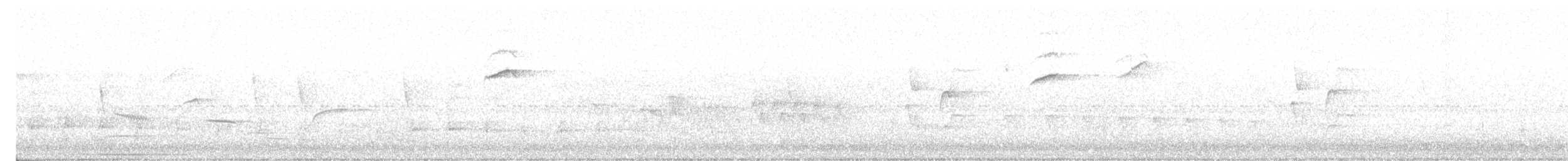 Graustirn-Dickichtschlüpfer - ML617060146