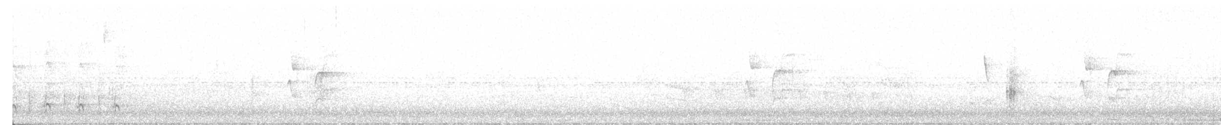 Темнолобая иглохвостка - ML617060147
