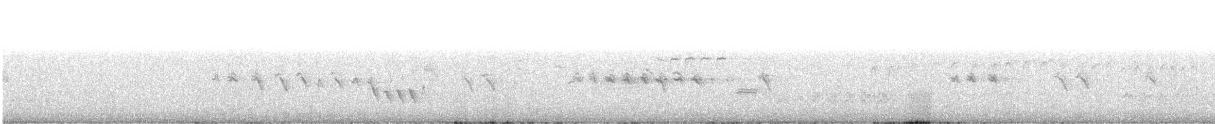 Troglodyte de Bewick - ML617060955
