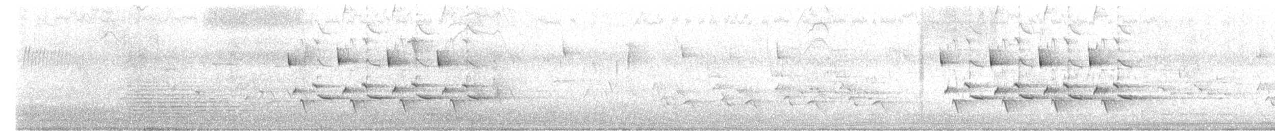Каролинский крапивник - ML617064127