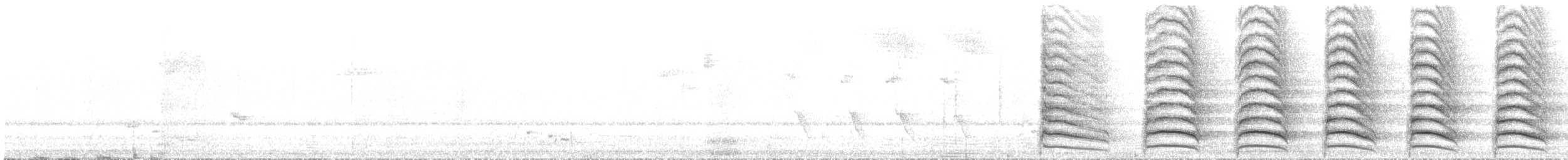 Kahverengi Karga - ML617064128