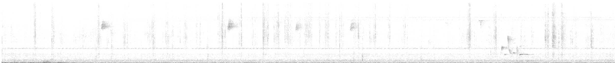 Ak Karınlı Çıtkuşu - ML617064147