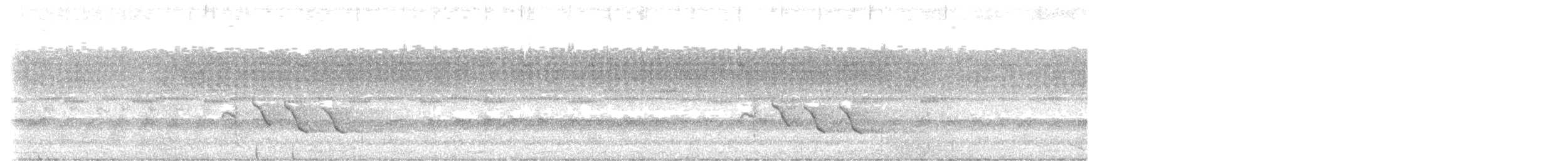 Сверкающий дронго (carbonarius) - ML617066287