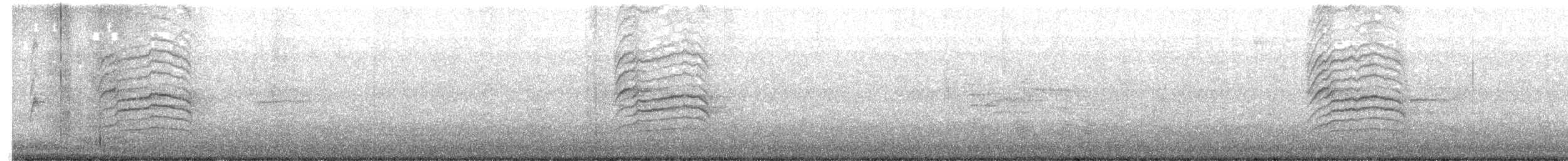 Горована гімалайська (підвид nigerrimus) - ML617067680