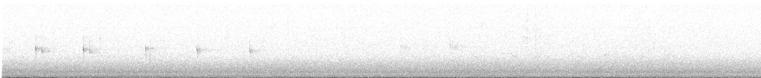 Neotropic Cormorant - ML617070556