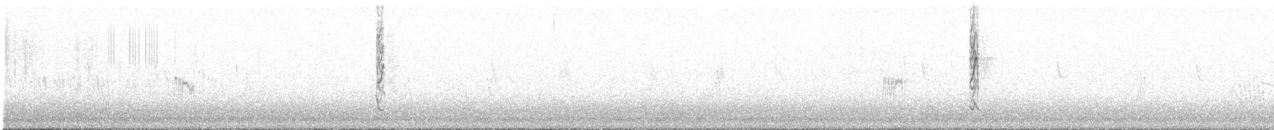 Diuca gris - ML617071089