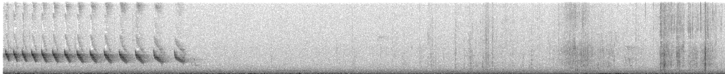 Grauband-Ameisenvogel - ML617075805
