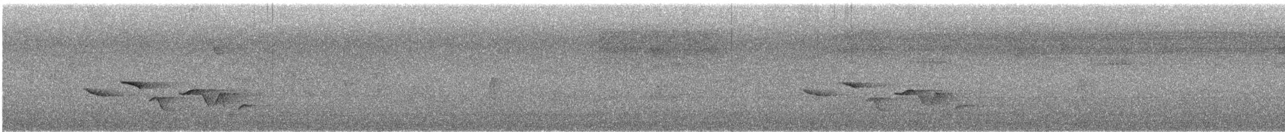 Troglodyte à poitrine tachetée - ML617075816