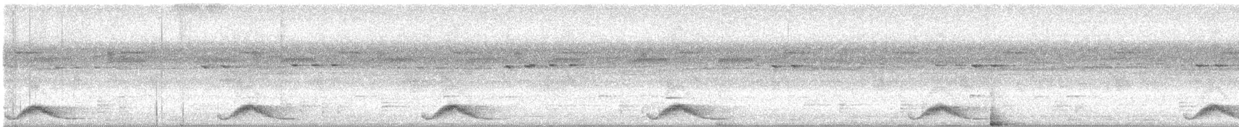 Pauraquenachtschwalbe - ML617077944