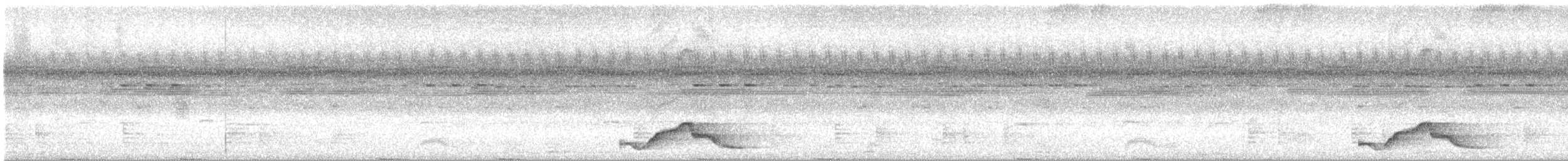 Pauraquenachtschwalbe - ML617077945