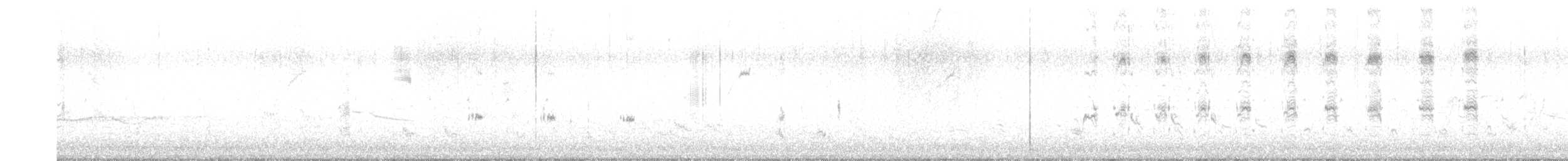 Long-tailed Shrike - ML617080067