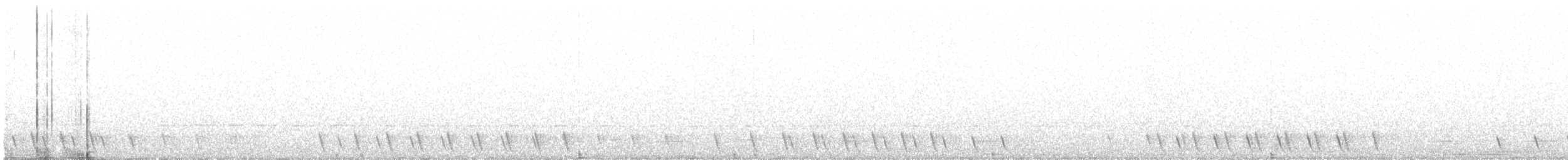 Graunachtschwalbe - ML617080301