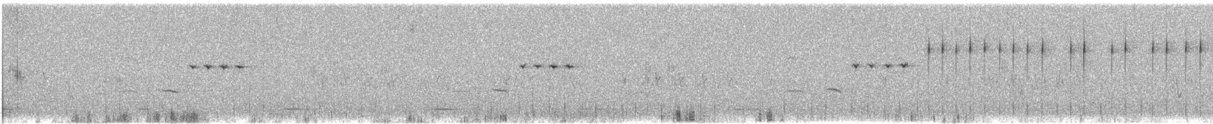 Wing-snapping Cisticola - ML617082041