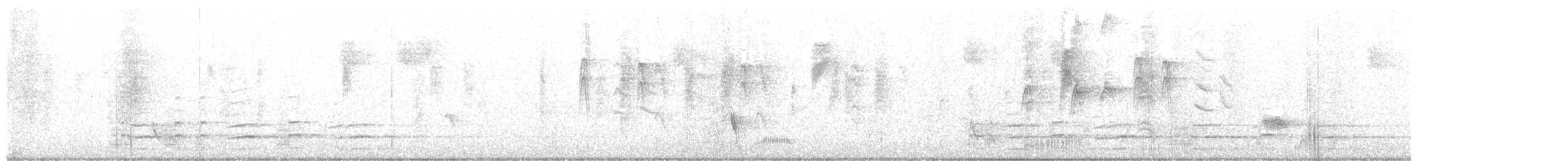 Black Currawong - ML617085322