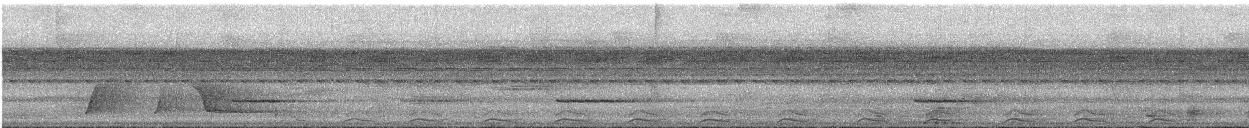 Black-tailed Trogon - ML617087144
