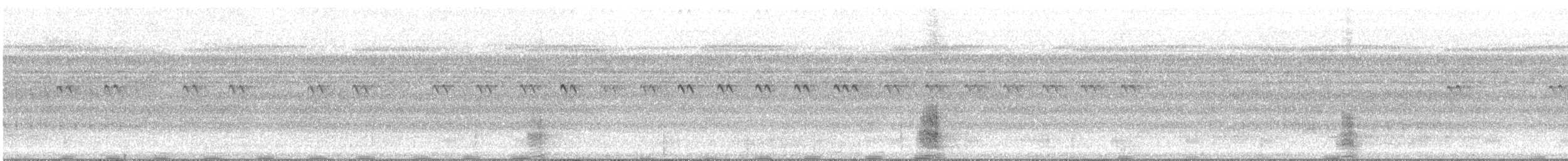 gråvingetrompetfugl - ML617087165