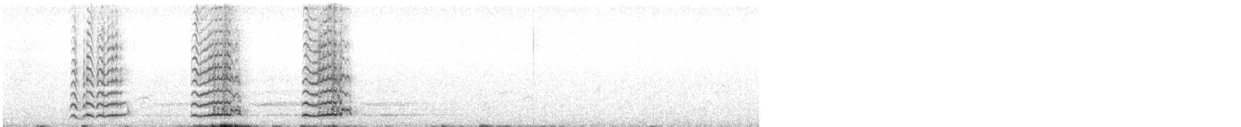 Гигантская лысуха - ML617089277