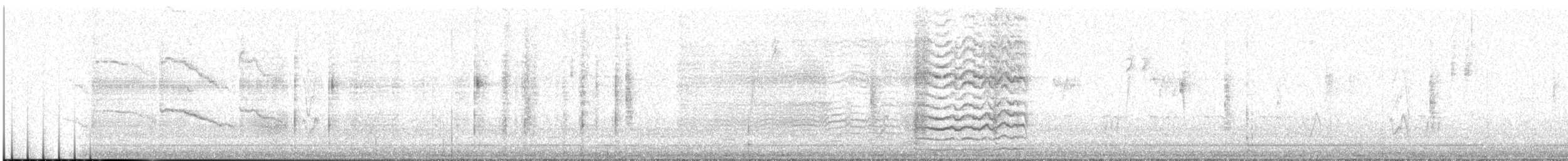Büyük Kuyruklu Kiskal [mexicanus grubu] - ML617091334