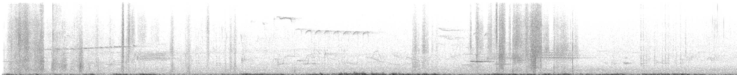 nordmyggsmett (caerulea) - ML617092214