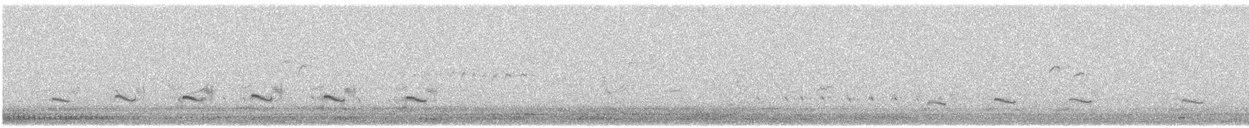 Little Ringed Plover - ML617093294