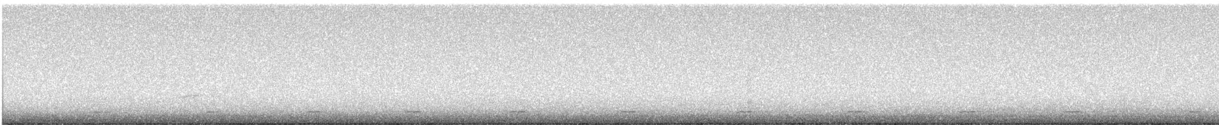 Northern Saw-whet Owl - ML617095676