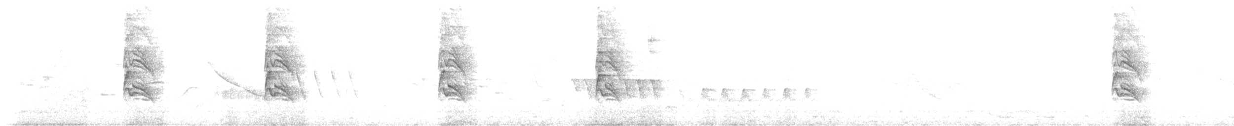 Kara Karınlı Islıkçı Ördek - ML617095736
